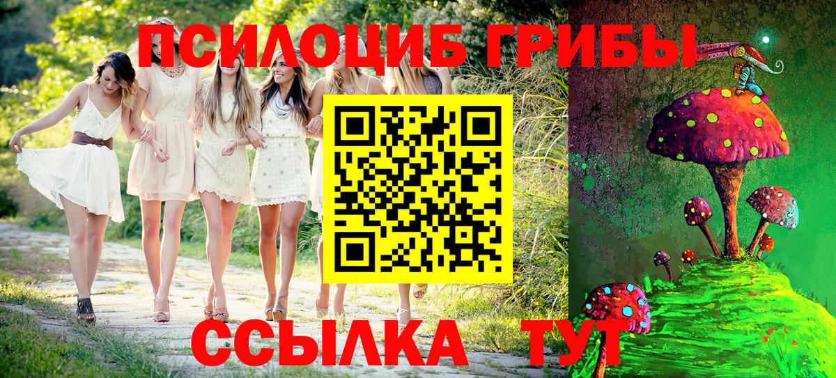 Псилоцибиновые грибы прущие грибы Сафоново