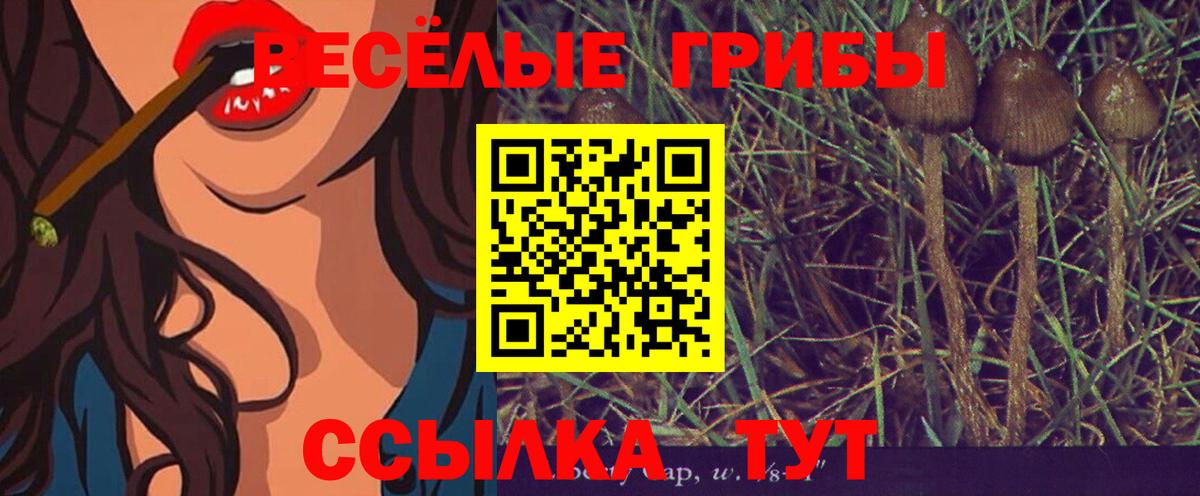 Галлюциногенные грибы прущие грибы  Вход с VPN  Сафоново 